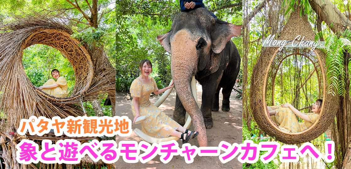 【モンチャーンカフェ】パタヤで象と遊べる観光地をレポ！タイの最新スポット